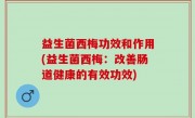 益生菌西梅功效和作用(益生菌西梅：改善肠道健康的有效功效)