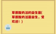 草原酸奶活的益生菌(草原酸奶活菌益生，受欢迎！)