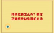 狗狗拉稀怎么办？教你正确喂养益生菌的方法