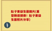肚子里益生菌图片(重塑肠道健康！肚子里益生菌照片分享)