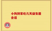 小狗到家吃几天益生菌合适