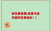 益生菌桑葚(桑葚与益生菌的完美结合！)