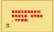 葡萄益生菌海报素材(葡萄益生菌：滋养肠道，守护健康)