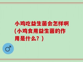小鸡吃益生菌会怎样啊(小鸡食用益生菌的作用是什么？)