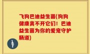 飞狗巴迪益生菌(狗狗健康离不开它们！巴迪益生菌为你的爱宠守护肠道)