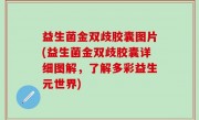 益生菌金双歧胶囊图片(益生菌金双歧胶囊详细图解，了解多彩益生元世界)