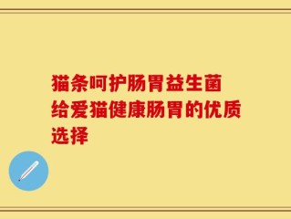 猫条呵护肠胃益生菌 给爱猫健康肠胃的优质选择