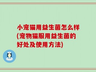 小宠猫用益生菌怎么样(宠物猫服用益生菌的好处及使用方法)