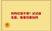 狗狗吃饭不香？试试益生菌，看看效果如何