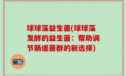 球球藻益生菌(球球藻发酵的益生菌：帮助调节肠道菌群的新选择)