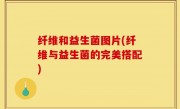 纤维和益生菌图片(纤维与益生菌的完美搭配)