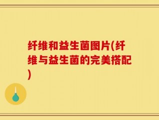 纤维和益生菌图片(纤维与益生菌的完美搭配)