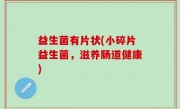 益生菌有片状(小碎片益生菌，滋养肠道健康)