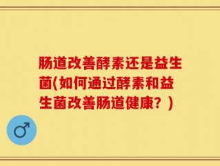 肠道改善酵素还是益生菌(如何通过酵素和益生菌改善肠道健康？)