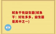 鱿鱼干有益生菌(鱿鱼干：好处多多，益生菌是其中之一)
