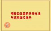 喂养益生菌的多种方法与实用图片展示