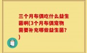 三个月布偶吃什么益生菌啊(3个月布偶宠物需要补充哪些益生菌？)