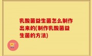 乳酸菌益生菌怎么制作出来的(制作乳酸菌益生菌的方法)