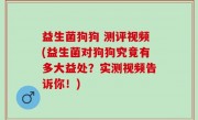 益生菌狗狗 测评视频(益生菌对狗狗究竟有多大益处？实测视频告诉你！)