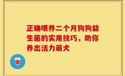 正确喂养二个月狗狗益生菌的实用技巧，助你养出活力萌犬