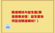 肠道蠕动与益生菌(肠道健康关键：益生菌如何促进肠道蠕动？)