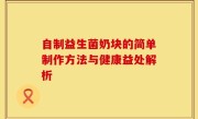 自制益生菌奶块的简单制作方法与健康益处解析