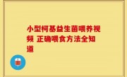 小型柯基益生菌喂养视频 正确喂食方法全知道