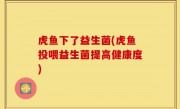 虎鱼下了益生菌(虎鱼投喂益生菌提高健康度)
