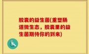 胶囊的益生菌(重塑肠道微生态，胶囊里的益生菌期待你的到来)