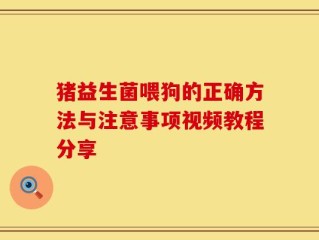 猪益生菌喂狗的正确方法与注意事项视频教程分享