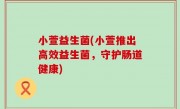 小萱益生菌(小萱推出高效益生菌，守护肠道健康)