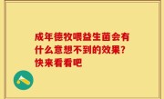 成年德牧喂益生菌会有什么意想不到的效果？快来看看吧
