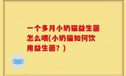一个多月小奶猫益生菌怎么喂(小奶猫如何饮用益生菌？)