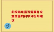 豹纹陆龟是否需要补充益生菌的科学分析与建议