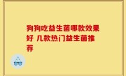 狗狗吃益生菌哪款效果好 几款热门益生菌推荐