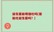 益生菌能喂猪吃吗(猪能吃益生菌吗？)