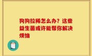狗狗拉稀怎么办？这些益生菌或许能帮你解决烦恼