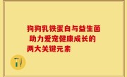 狗狗乳铁蛋白与益生菌 助力爱宠健康成长的两大关键元素