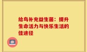 给鸟补充益生菌：提升生命活力与快乐生活的佳途径