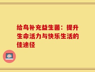 给鸟补充益生菌：提升生命活力与快乐生活的佳途径