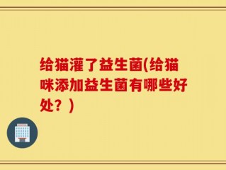 给猫灌了益生菌(给猫咪添加益生菌有哪些好处？)