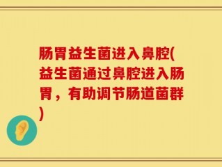 肠胃益生菌进入鼻腔(益生菌通过鼻腔进入肠胃，有助调节肠道菌群)