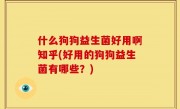 什么狗狗益生菌好用啊知乎(好用的狗狗益生菌有哪些？)