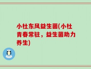 小杜东风益生菌(小杜青春常驻，益生菌助力养生)