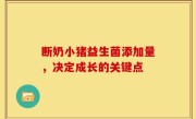 断奶小猪益生菌添加量，决定成长的关键点