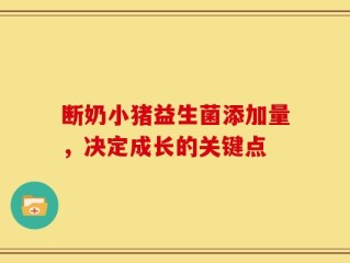 断奶小猪益生菌添加量，决定成长的关键点