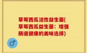 草莓西瓜活性益生菌(草莓西瓜益生菌：增强肠道健康的美味选择)