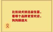 比熊幼犬挑选益生菌，看哪个品牌更受欢迎，狗狗肠道大
