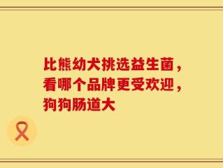 比熊幼犬挑选益生菌，看哪个品牌更受欢迎，狗狗肠道大
