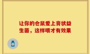 让你的仓鼠爱上膏状益生菌，这样喂才有效果